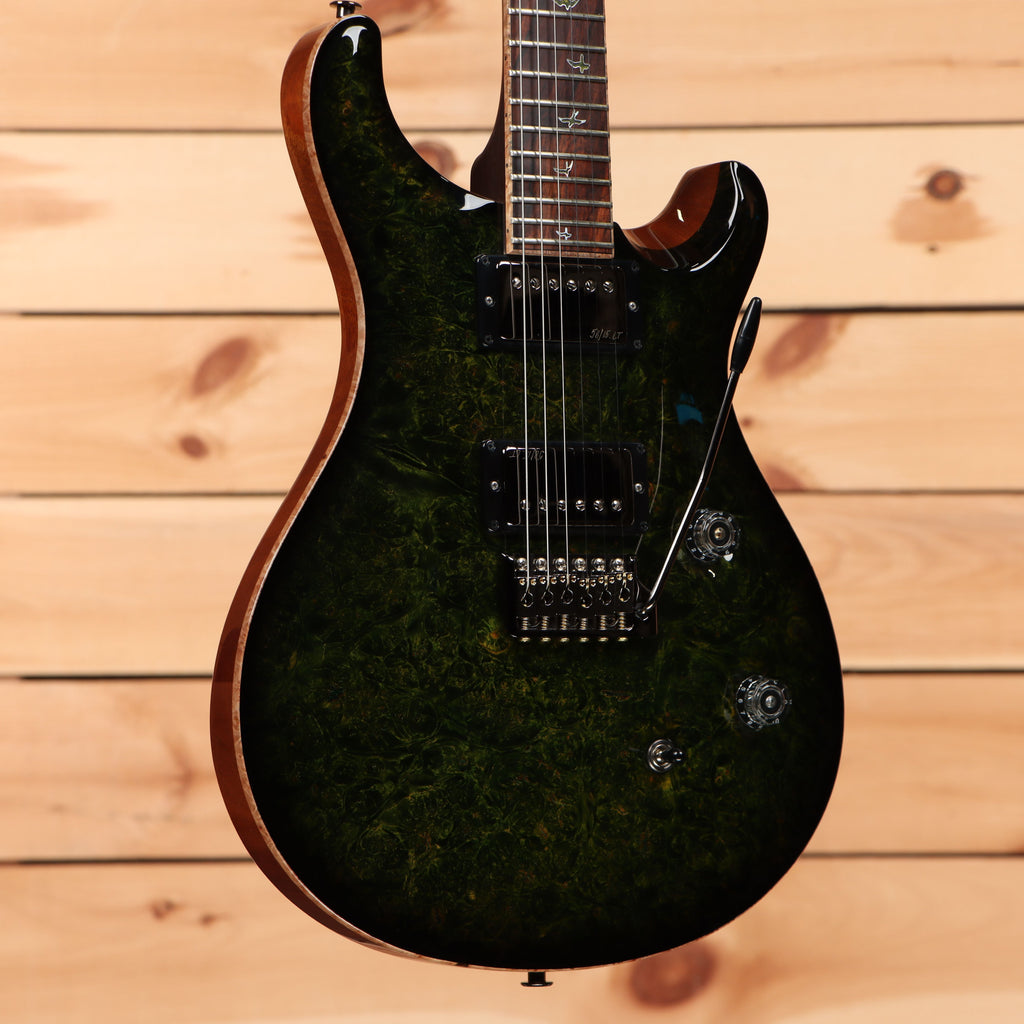 Paul Reed Smith Private Stock Custom 24 - Rainforest Smokeburst