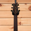Paul Reed Smith Private Stock Custom 24 - Rainforest Smokeburst