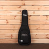 Paul Reed Smith Silver Sky Rosewood - Roxy Pink