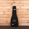 Paul Reed Smith Silver Sky Rosewood - Roxy Pink