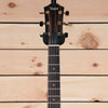 Taylor 214ce-SB DLX - Tobacco Sunburst