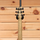 Paul Reed Smith Modern Eagle V Wood Library electric guitar Angry Larry finish with maple neck