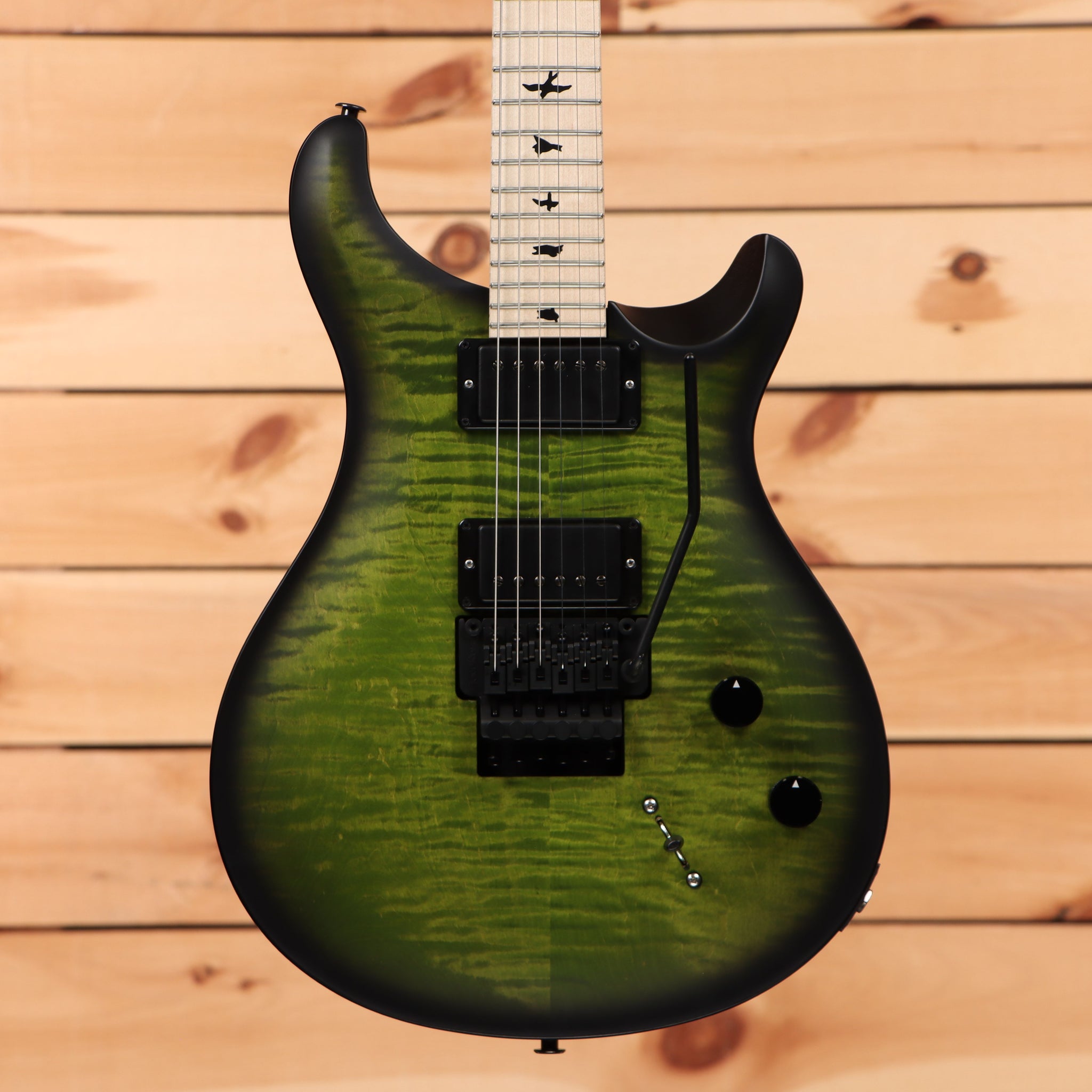PRS paul reed smith Dustie Waringモデル prs-dwce24-364203-c1__wwg.jpg