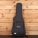 Martin D10E dreadnought acoustic-electric guitar natural finish with gig bag case