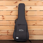 Martin D10E dreadnought acoustic-electric guitar natural finish with gig bag case