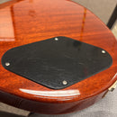 Paul Reed Smith S2 Singlecut Semi-Hollow electric guitar Amber Sunburst mahogany back with black control cavity cover