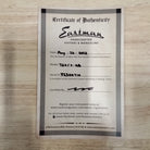 Eastman T64/V-GB semi-hollow body electric guitar antique goldburst with certificate of authenticity
