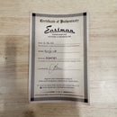 Eastman T64-V antique goldburst semi-hollow electric guitar with certificate of authenticity