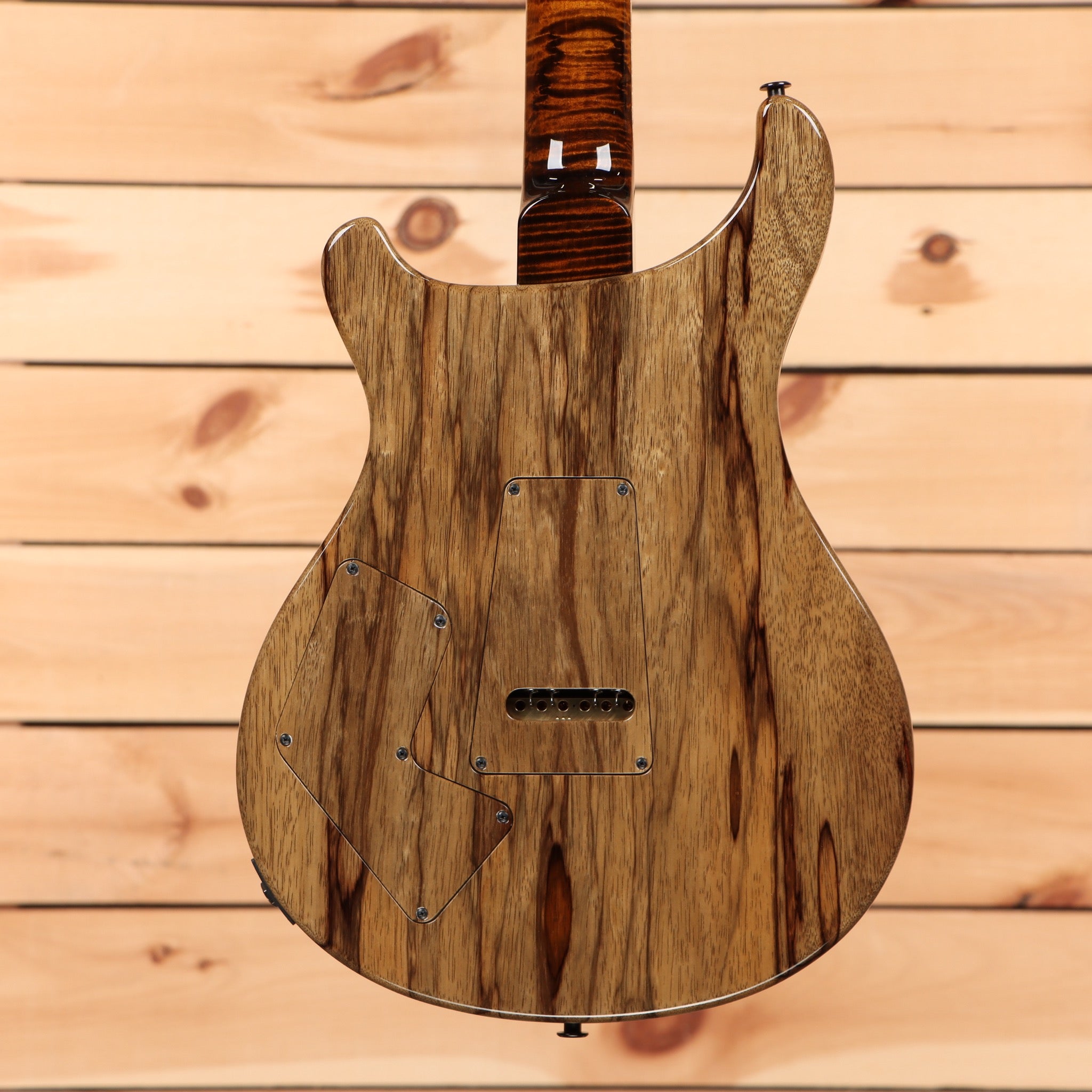 Paul Reed Smith Private Stock Modern Eagle V Sandstorm Fade electric guitar with figured wood back