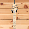 Paul Reed Smith Silver Sky - Polar Blue