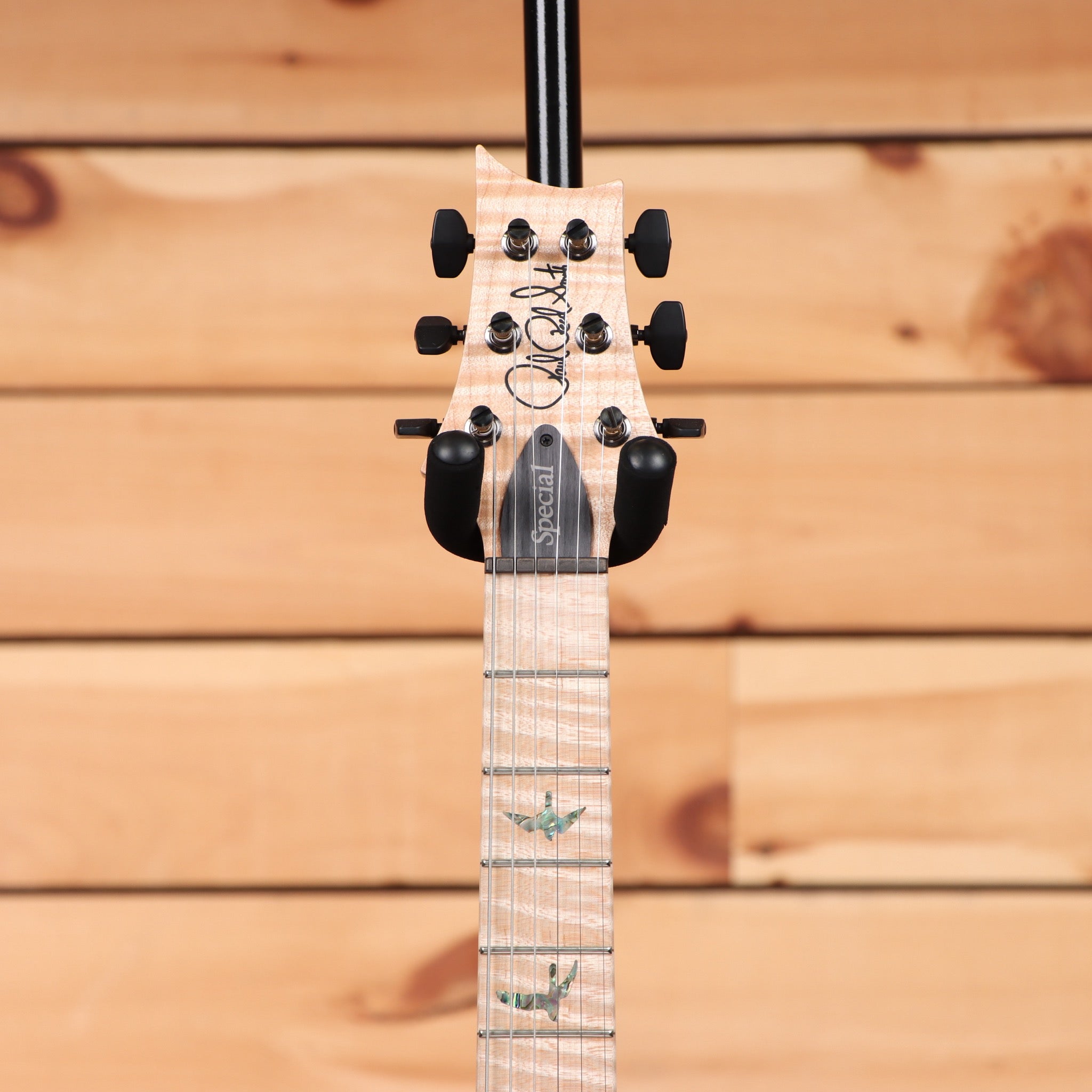 Paul Reed Smith Special 22 semi-hollow electric guitar Trampas Green Fade with maple neck and bird inlays