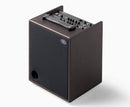 Schertler David X Combo acoustic amplifier dark wood with multiple control knobs and speaker