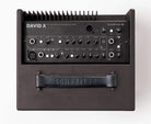 Scherler David X combo amplifier dark wood dual-channel preamp with high-voltage class-A circuitry