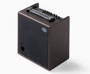 Schertler Giulia X Combo dark wood guitar amplifier with top-mounted controls and speaker cone