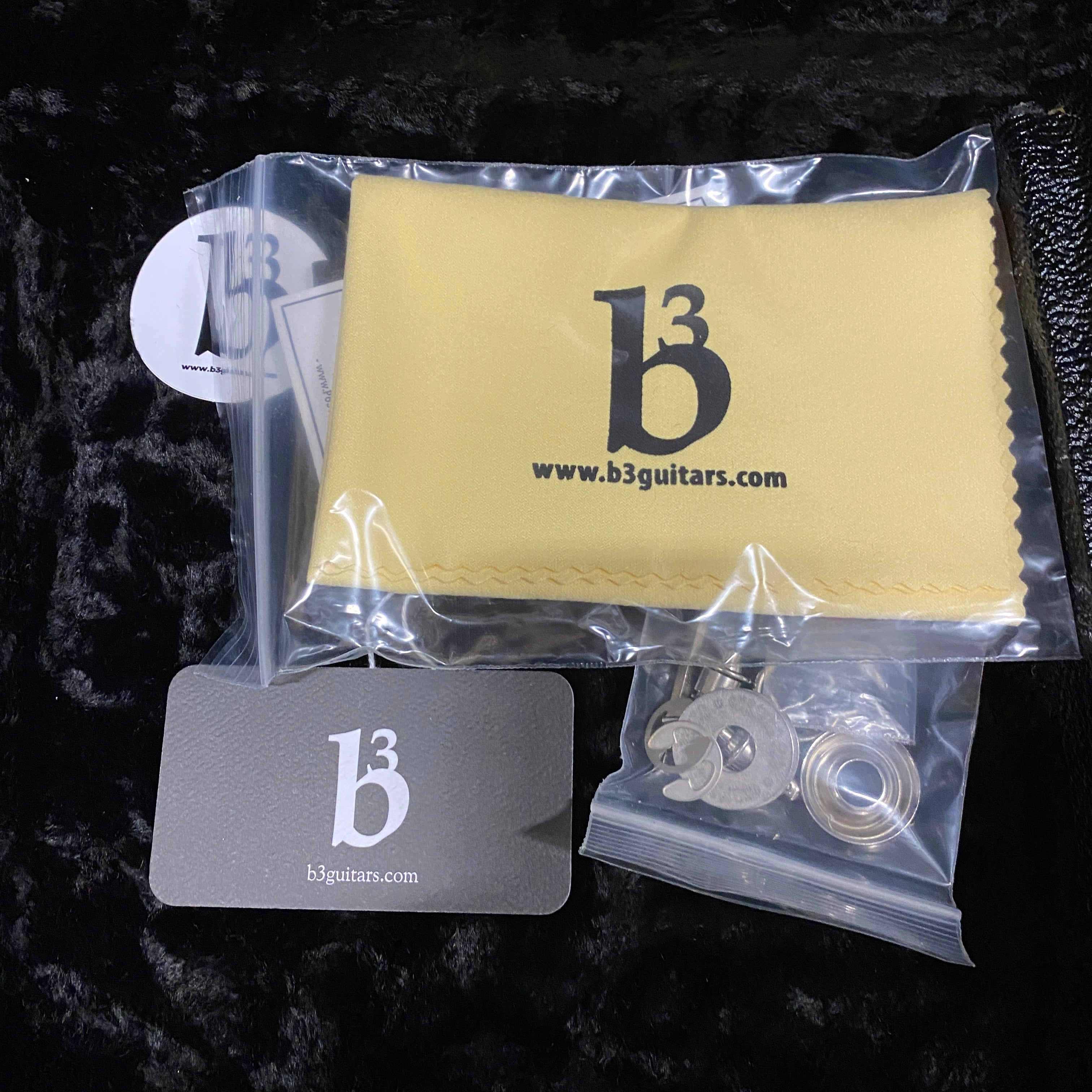 B3 SL Custom Deluxe natural electric guitar microfiber cleaning cloth and strap button accessories