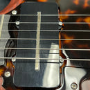 Scott Walker Phoenix mahogany electric guitar with maple neck and dual humbuckers