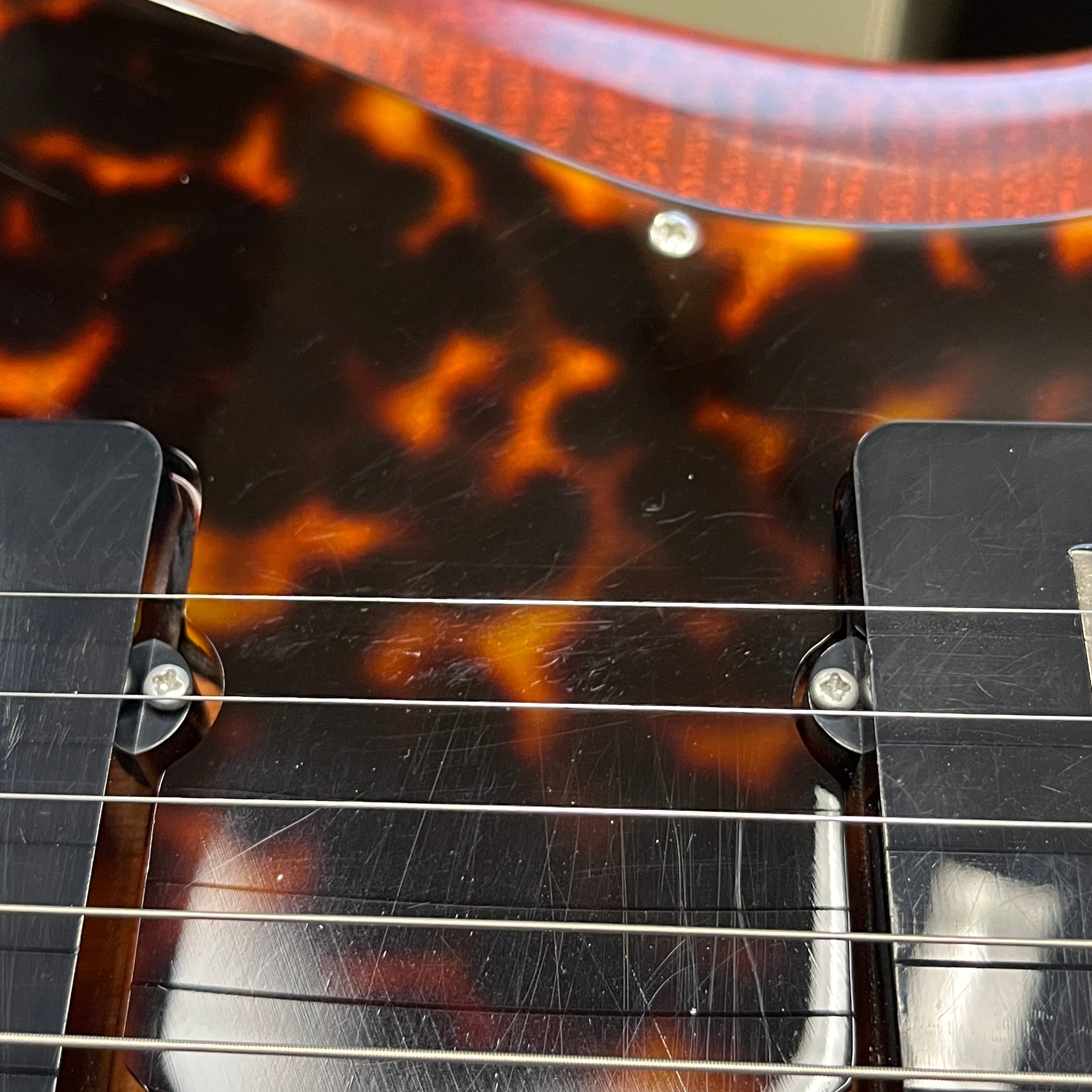 Scott Walker Phoenix mahogany acoustic guitar with tortoiseshell pickguard and rosewood fretboard