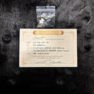 Boucher Limited LE-SG-161-MV Natural guitar certificate of authenticity with strap button accessory bag