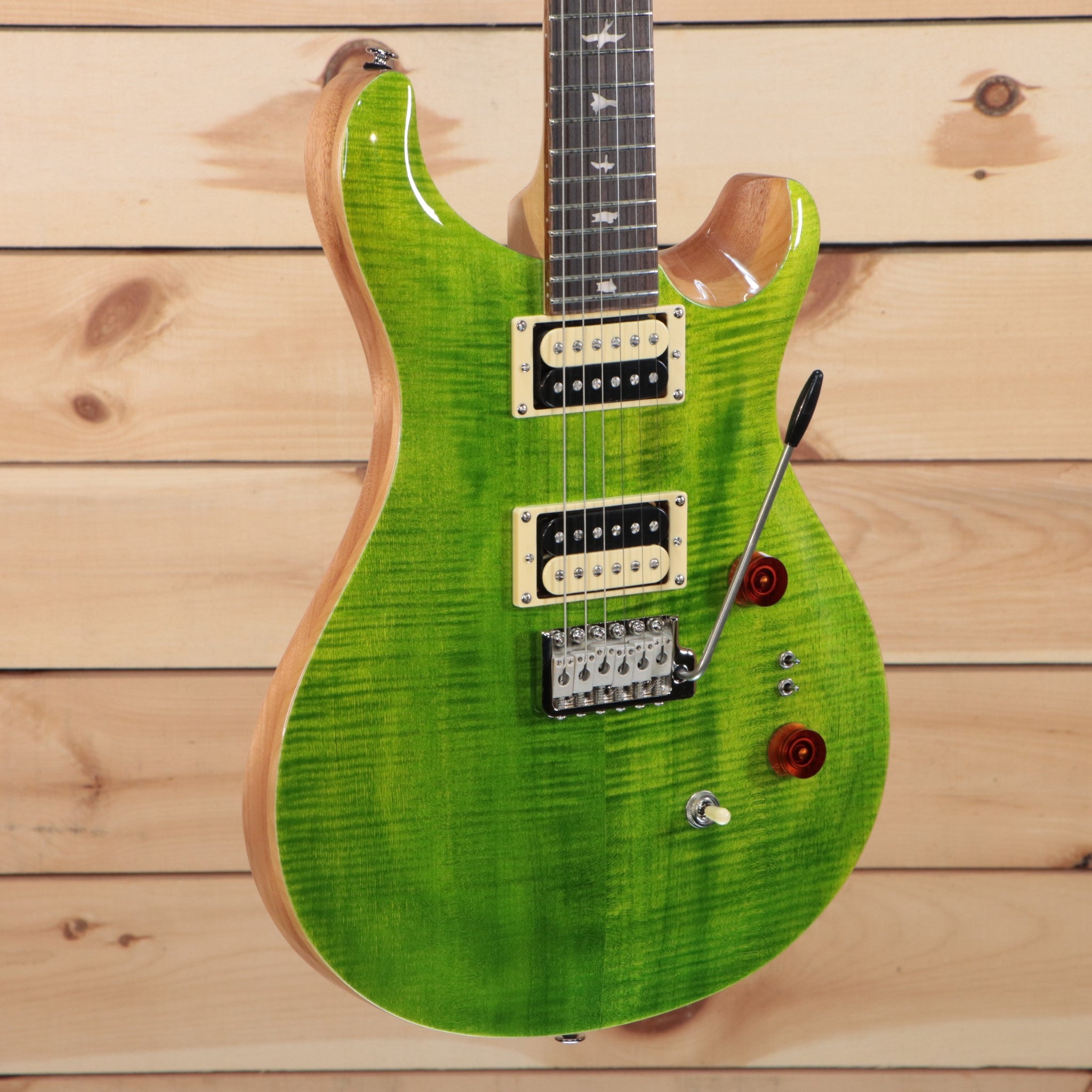 Paul Reed Smith SE Custom 24-08 - Eriza Verde – Righteous Guitars