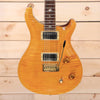 PRS 1994 Artist II (#276) - Express Shipping - (PRS-0015) Serial: 4 20213 - PLEK'd-2-Righteous Guitars