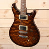 PRS Private Stock Standard 22 PS#2728 - Express Shipping - (PRS-0164) Serial: 10 161343 - PLEK'd-3-Righteous Guitars