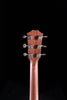 Taylor 816ce Builder's Edition (Rosewood/Spruce) - Express Shipping - (T-230) Serial: 1203030108 - PLEK'd-7-Righteous Guitars