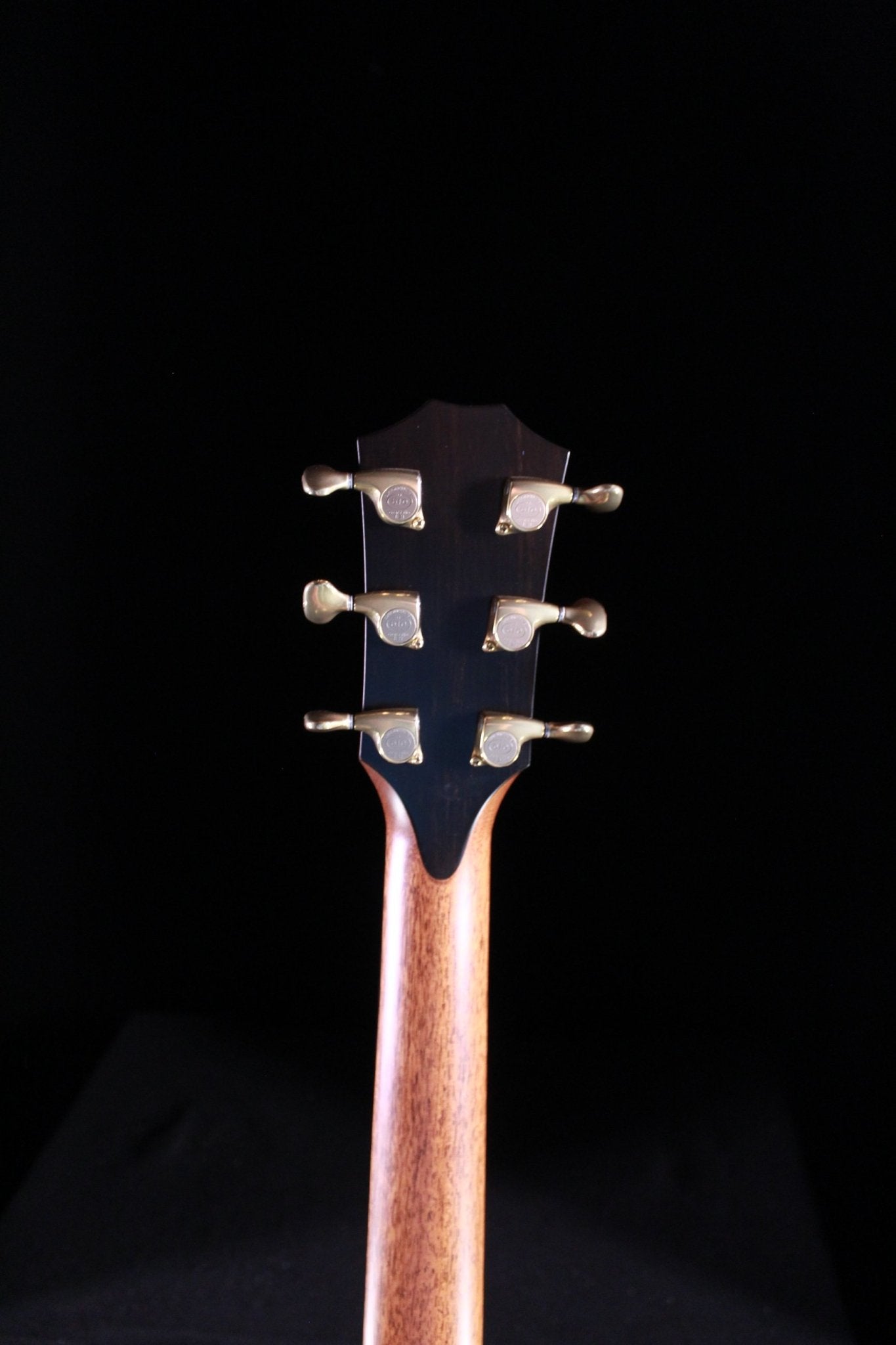 Taylor 2019 Custom GA acoustic guitar Cocobolo Cedar with gold tuning machines mahogany neck back view