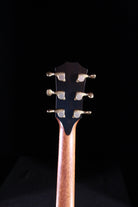 Taylor 2019 Custom GA acoustic guitar Cocobolo Cedar with gold tuning machines mahogany neck back view