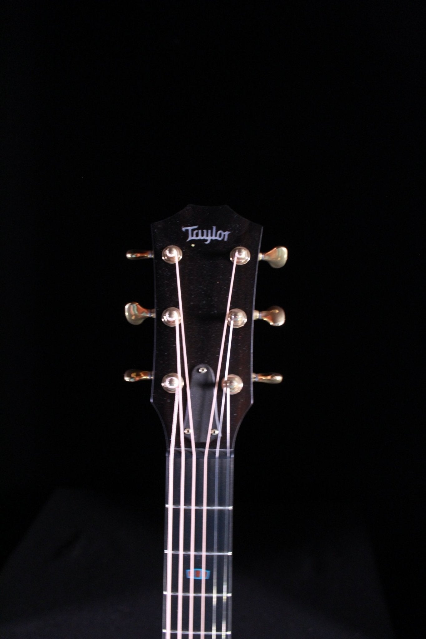 Taylor 2019 Custom GA acoustic guitar Cocobolo Cedar with gold tuners headstock view