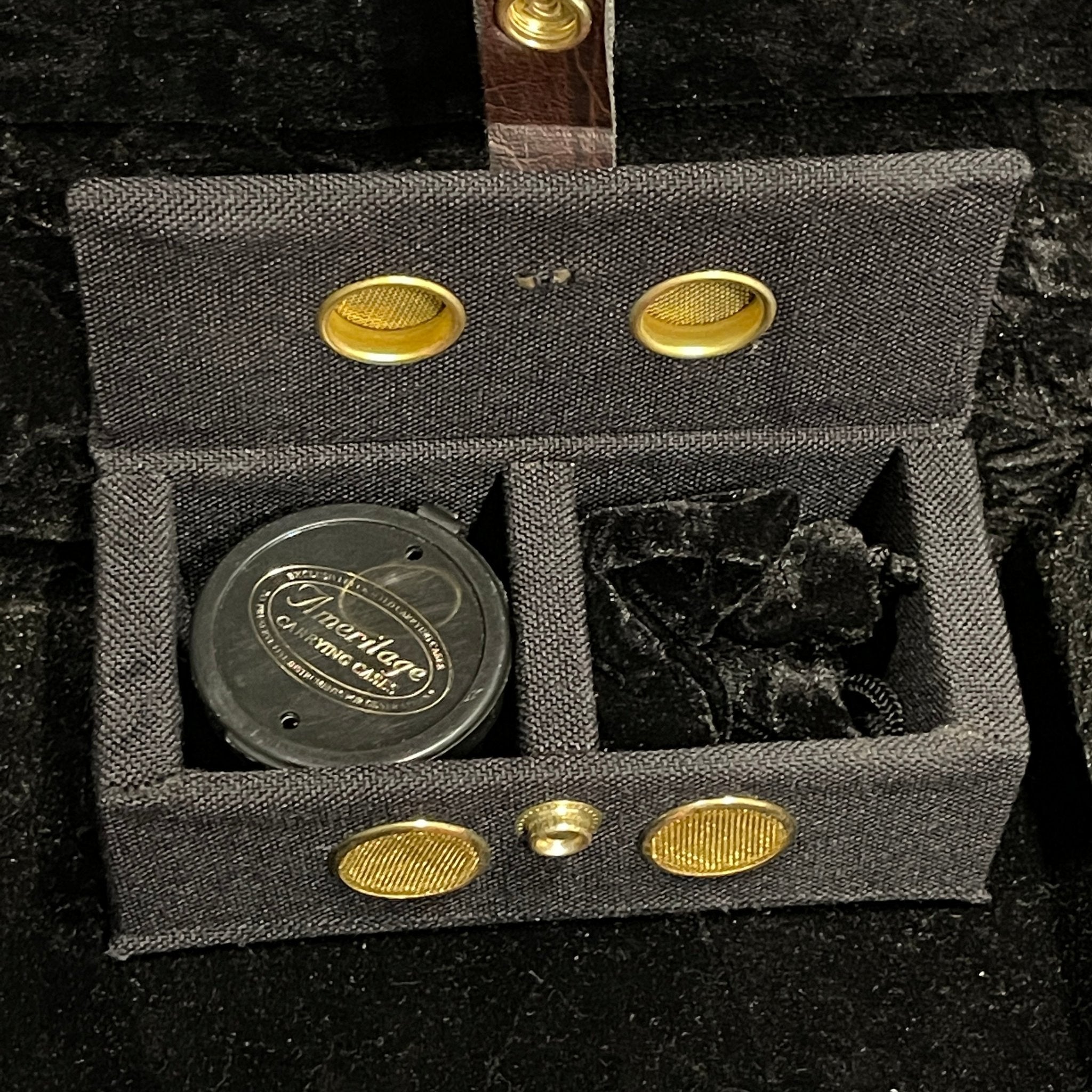 Ameritage carrying case with gold oval buttons and snap closures for Warrior The Passion W-001 guitar