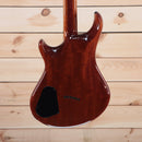 Warrior The Passion W-001 electric guitar mahogany body back view amber burst finish with electronics cavity cover